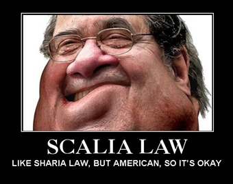 scalia law by hip is everything