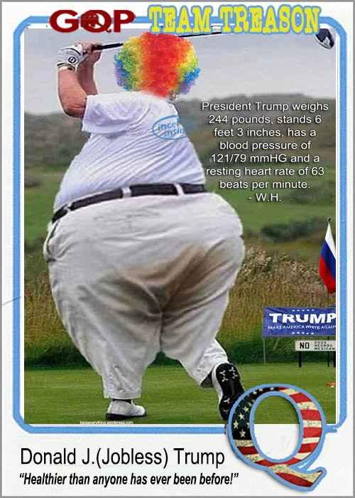TT24-1 trump picture of health